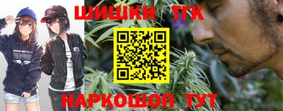 прущие крисы Камышлов
