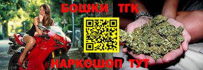 прущие крисы Камышлов