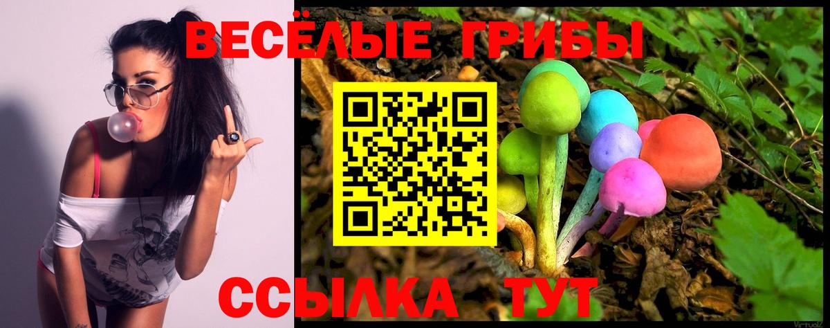 Галлюциногенные грибы мухоморы  Псилоцибиновые грибы мицелий  Кумертау  Вход с VPN 