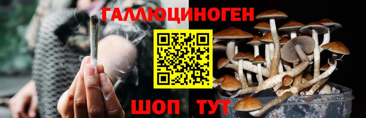 Псилоцибиновые грибы GOLDEN TEACHER Кумертау
